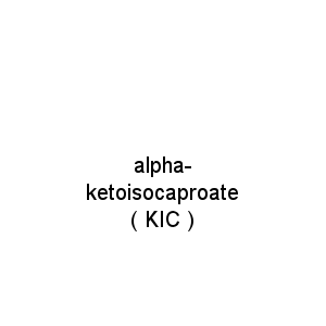 alpha-ketoisocaproate ( KIC )